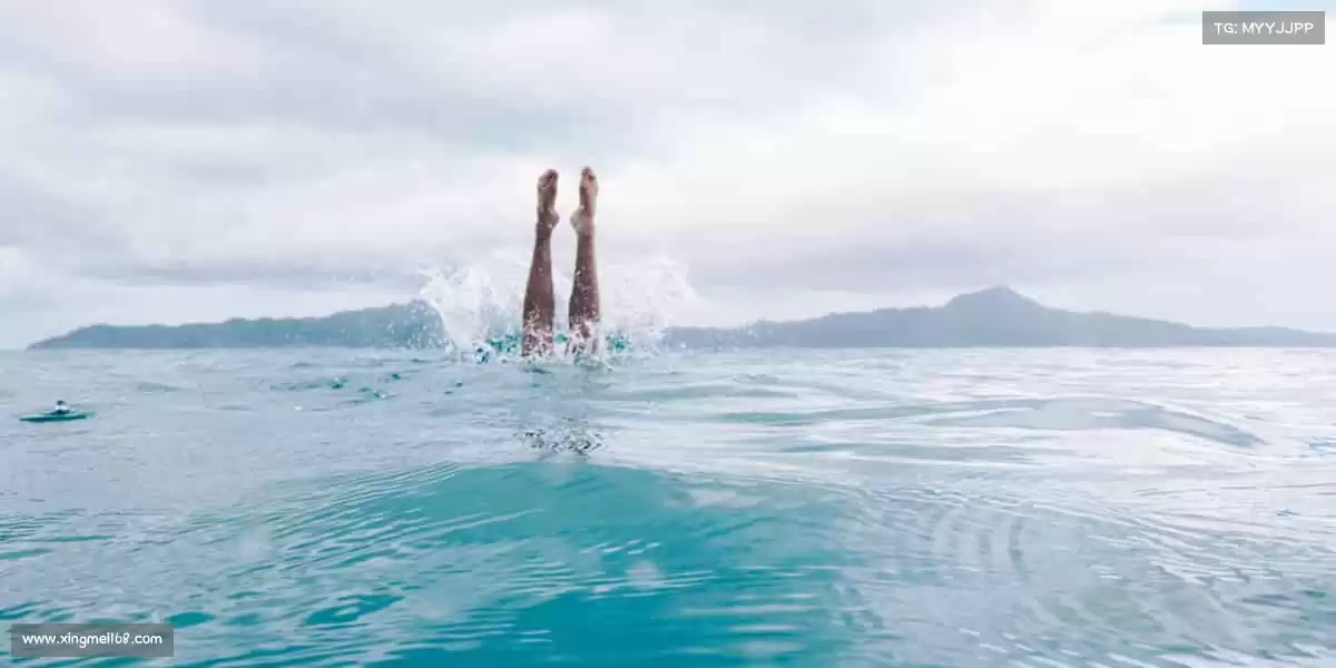 行业领先的理由